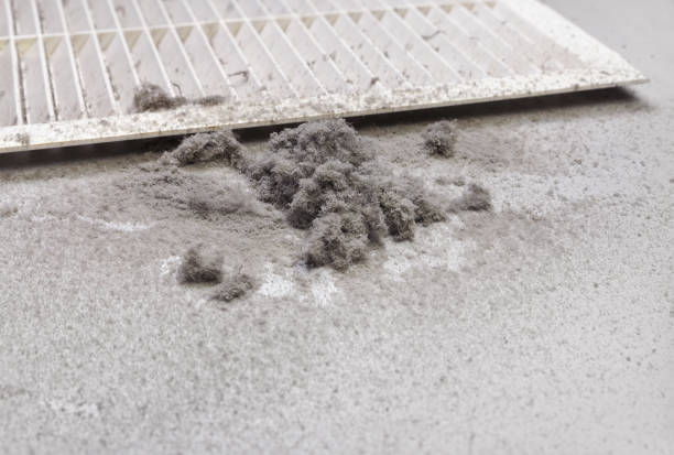 Best Home Air Vent Cleaning  in Early, TX