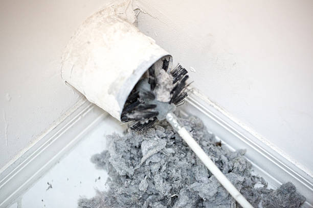 Best Local Air Duct Cleaning Services  in Early, TX